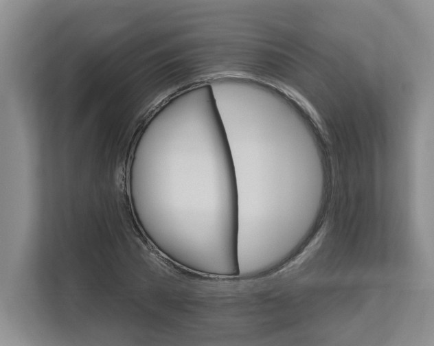 X0000112890785200908211029