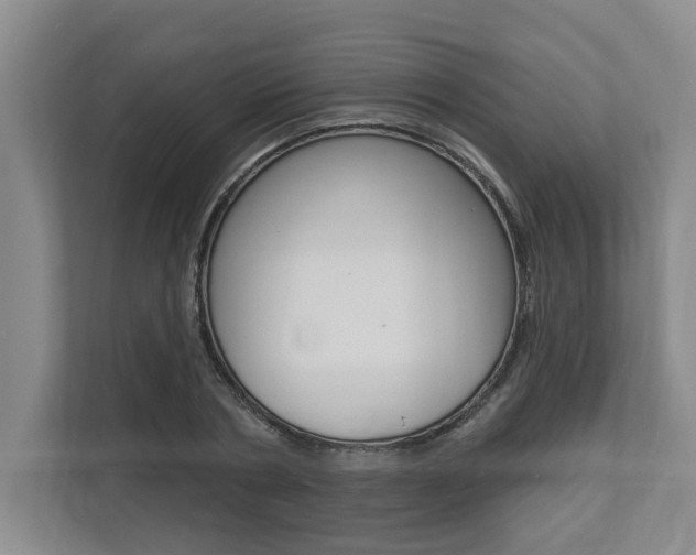 X0000112890786200908211029