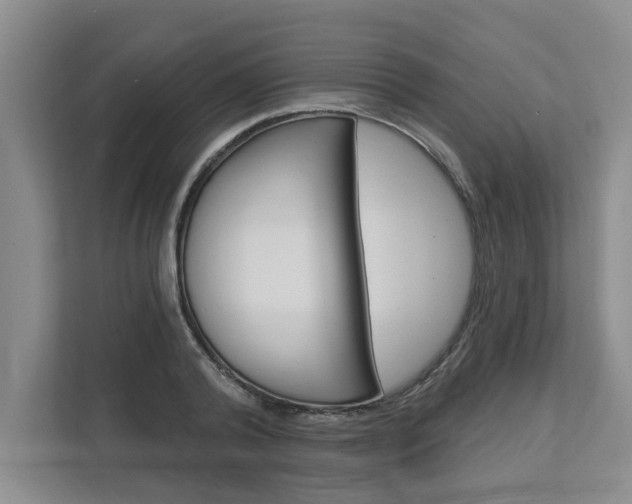 X0000112890792200908211029