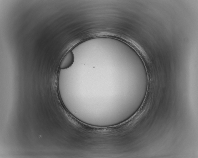 X0000112890793200908211029