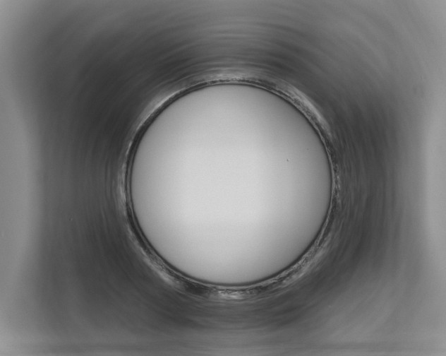 X0000112890794200908211029