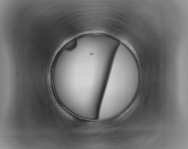 X0000112890797200908211029