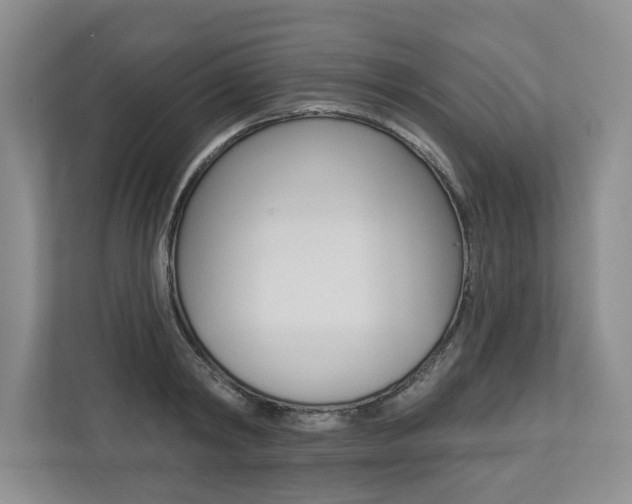 X0000112890798200908211029