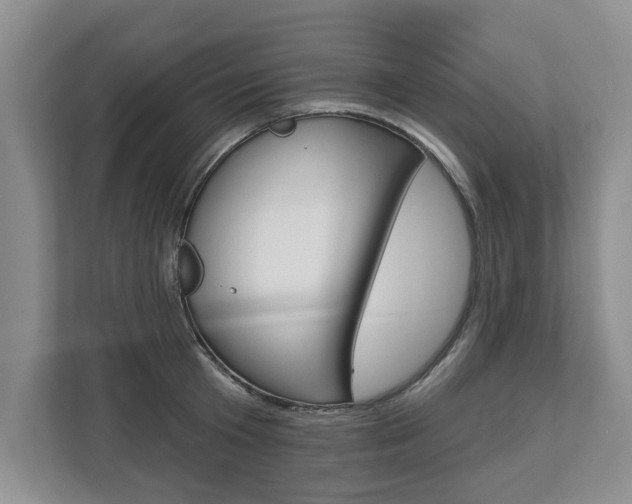 X0000112890801200908211029