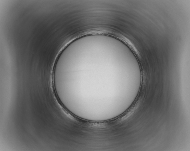 X0000112890802200908211029