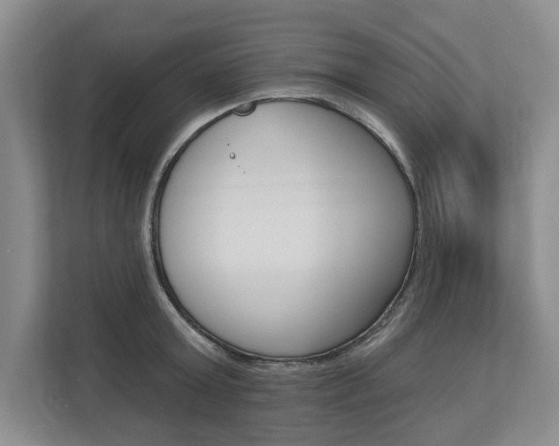 X0000112890803200908211029
