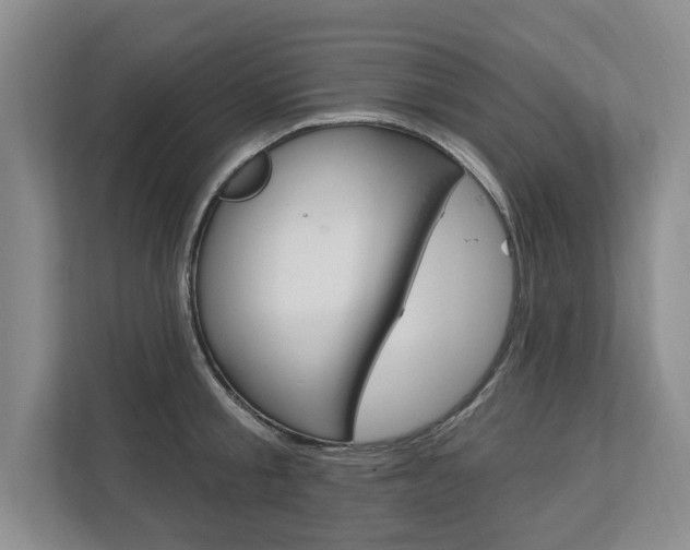 X0000112890805200908211029