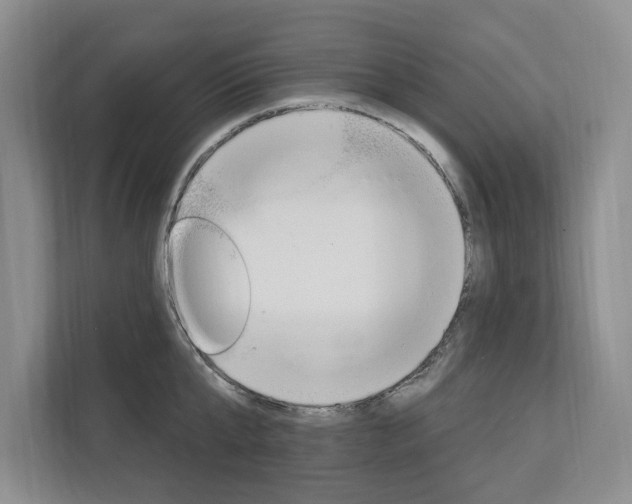 X0000112890807200908211029