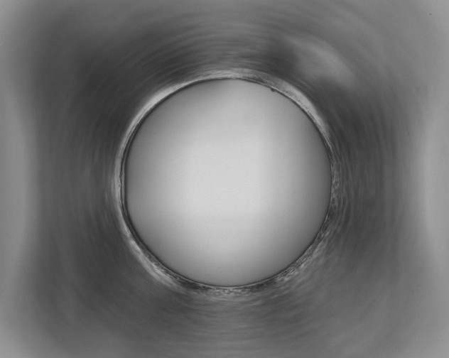 X0000112890811200908211029