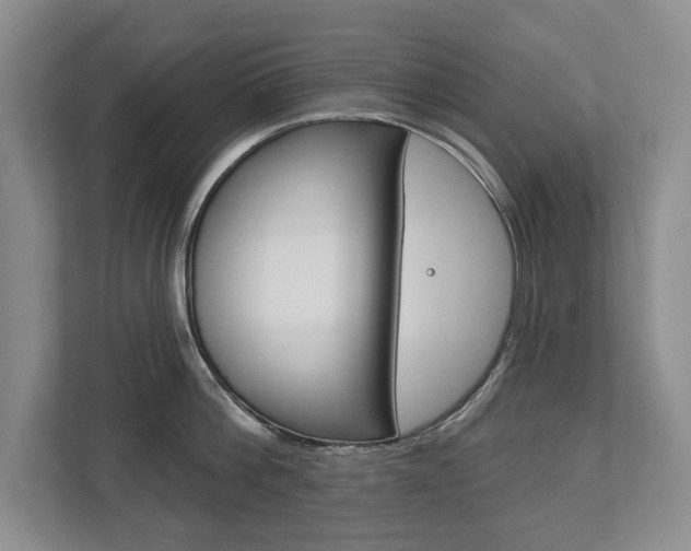 X0000112890812200908211029