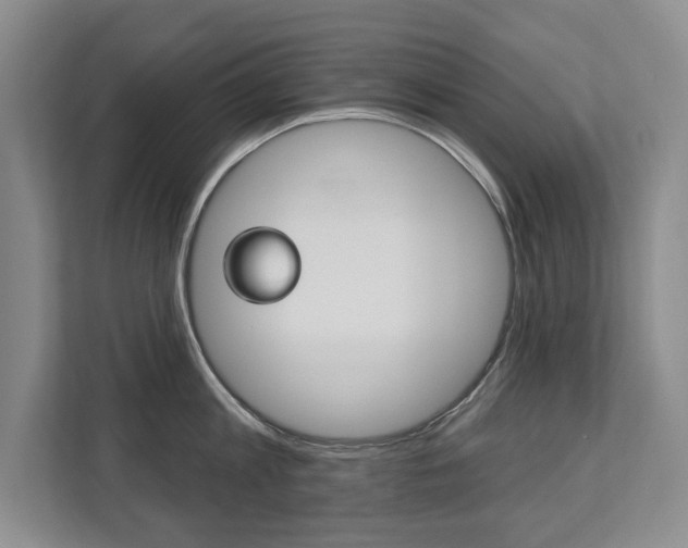 X0000112890813200908211029
