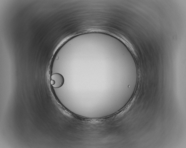 X0000112890814200908211029
