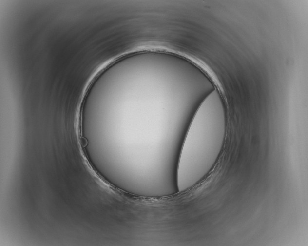 X0000112890815200908211029