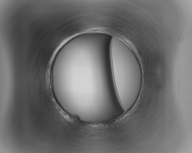 X0000112890816200908211029