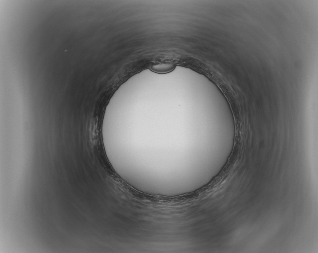 X0000112890818200908211028