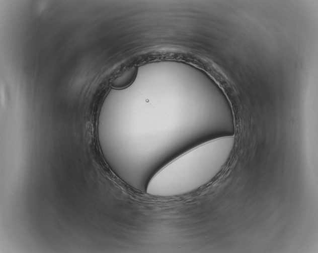 X0000112890821200908211028