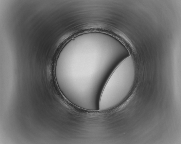 X0000112890826200908211028