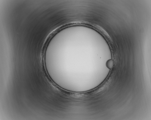 X0000112890831200908211028