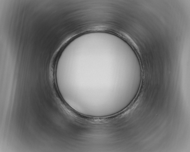 X0000112890835200908211028