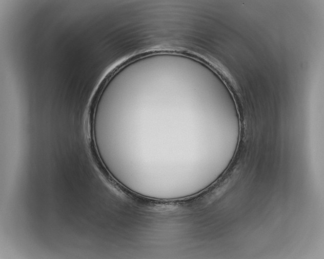 X0000112890838200908211028