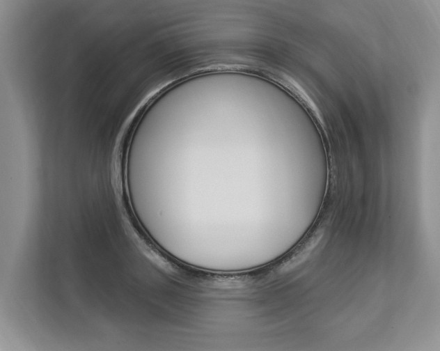 X0000112890843200908211028