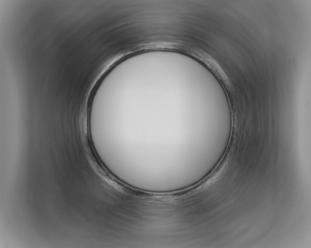 X0000112890844200908211029