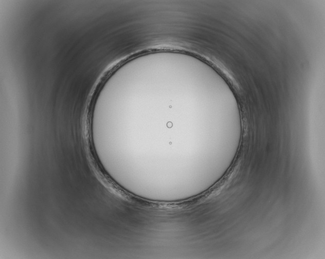 X0000112890848200908211029