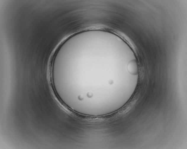 X0000112890851200908211029
