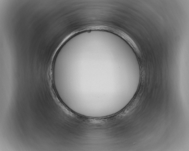 X0000112890852200908211029