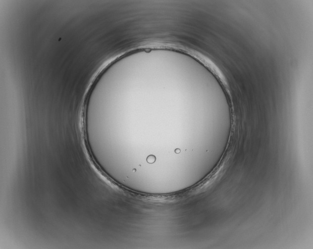 X0000112890855200908211029