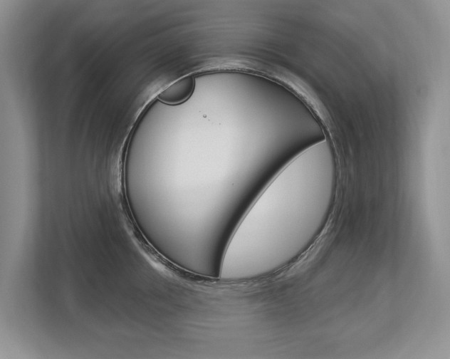 X0000112890858200908211029