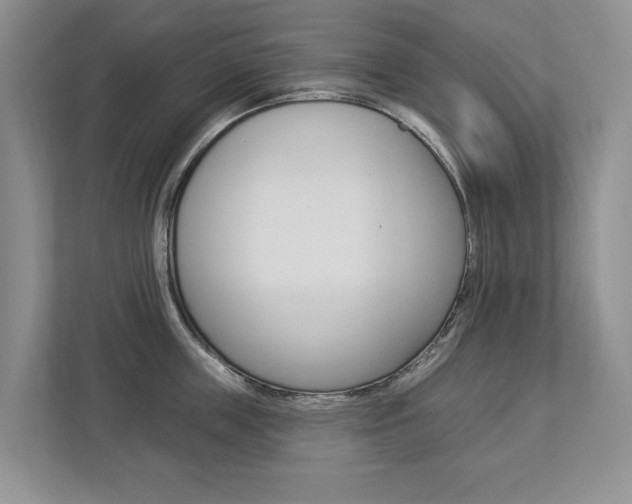 X0000112890859200908211029