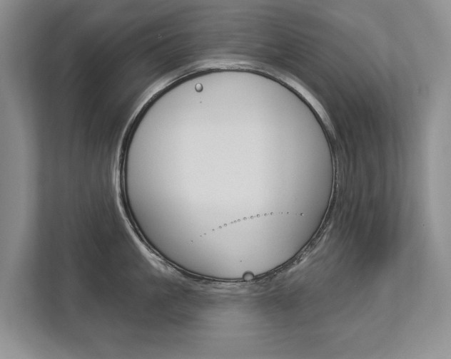 X0000112890861200908211029