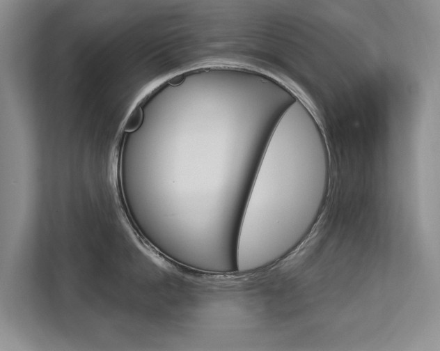 X0000112890862200908211029