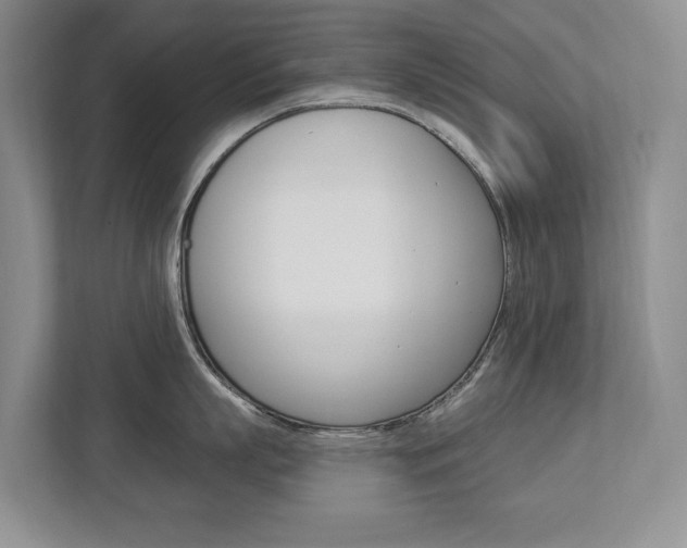 X0000112890863200908211029