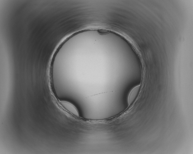 X0000112890864200908211029