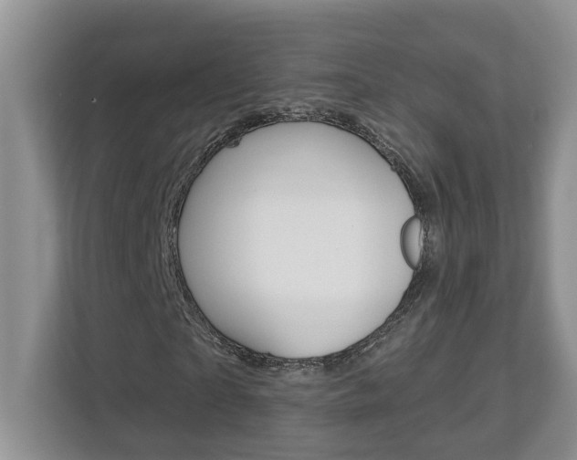 X0000112890865200908211028