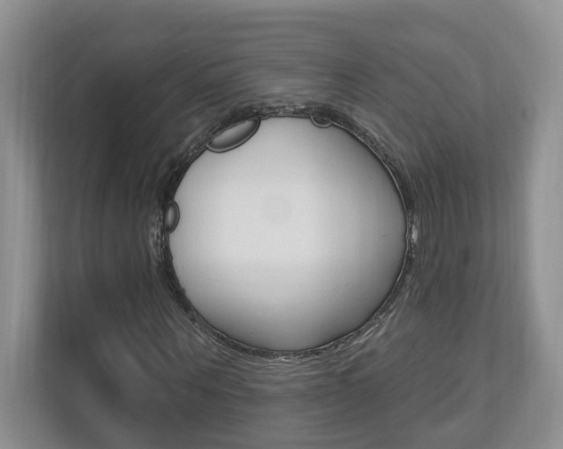 X0000112890867200908211028