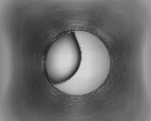X0000112890868200908211028