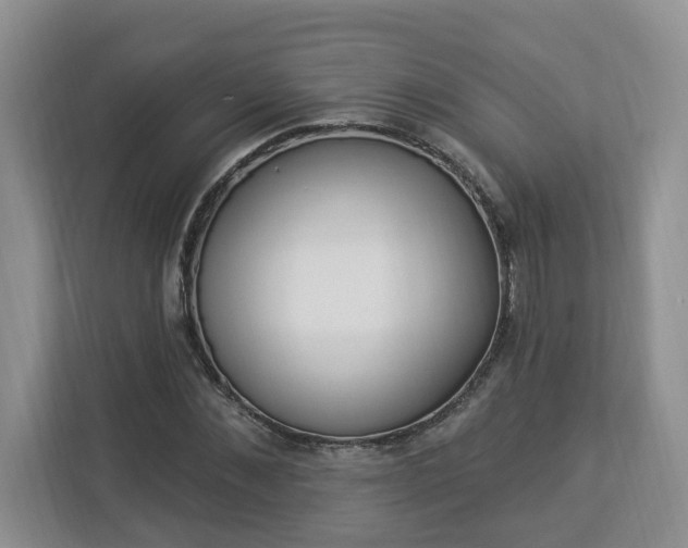 X0000112890876200908211028