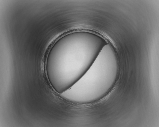 X0000112890877200908211028