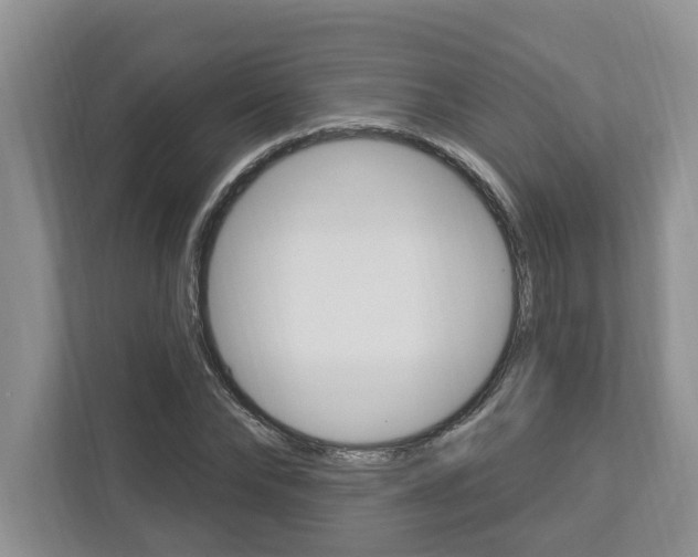 X0000112890878200908211028