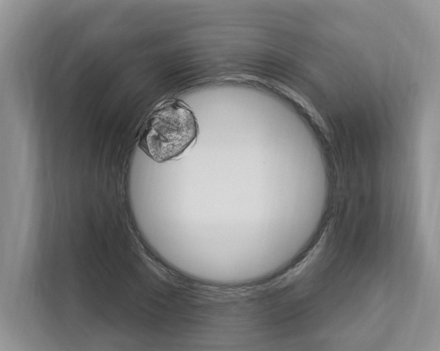 X0000112890881200908211028