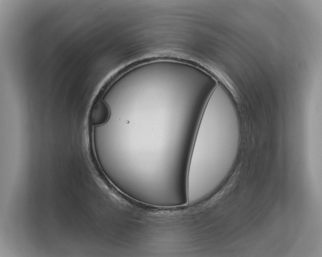 X0000112890888200908211028