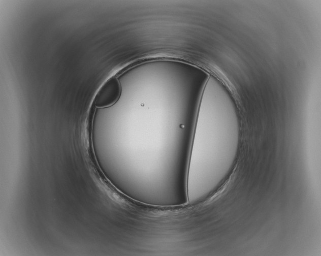 X0000112890892200908211028