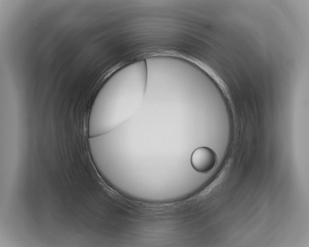 X0000112890897200908211028