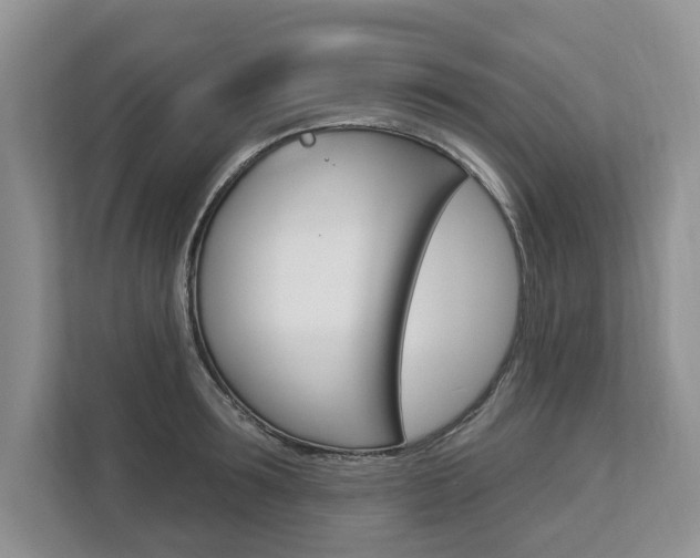X0000112890899200908211028