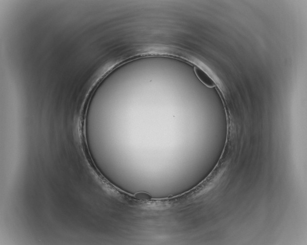X0000112890901200908211028