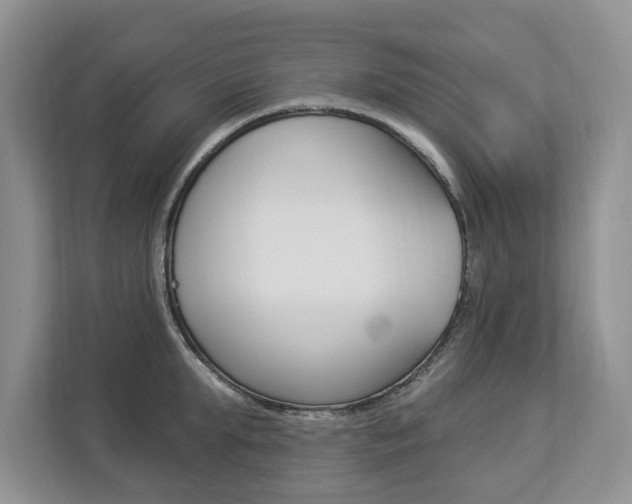 X0000112890903200908211028