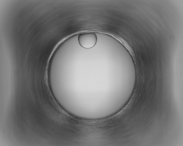 X0000112890904200908211028